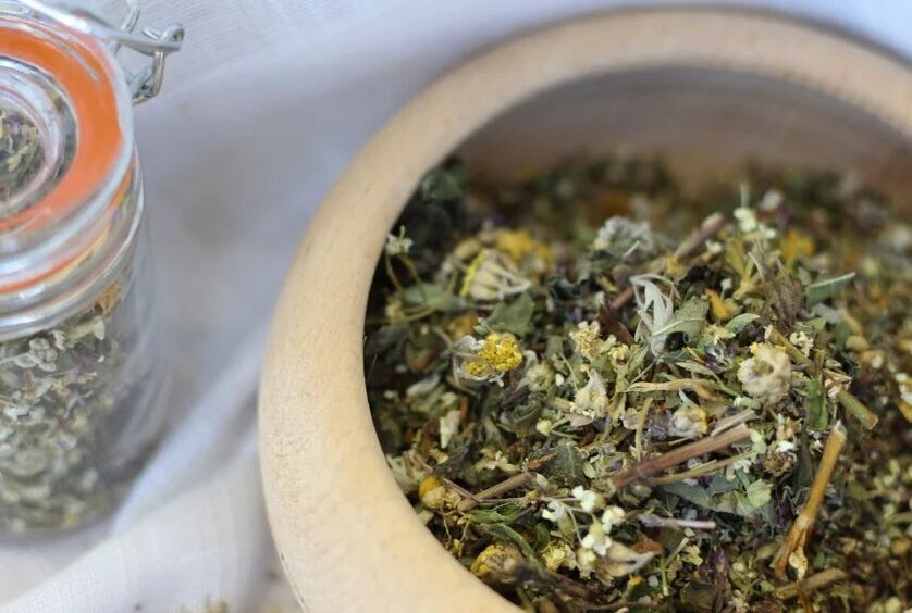 Hierbas medicinales para el tratamiento de hongos.